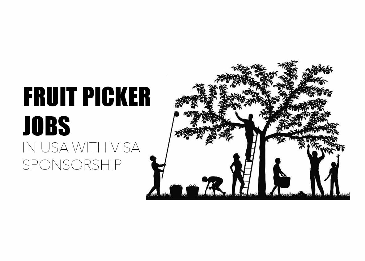 Fruit Picker Jobs in USA with Visa Sponsorship