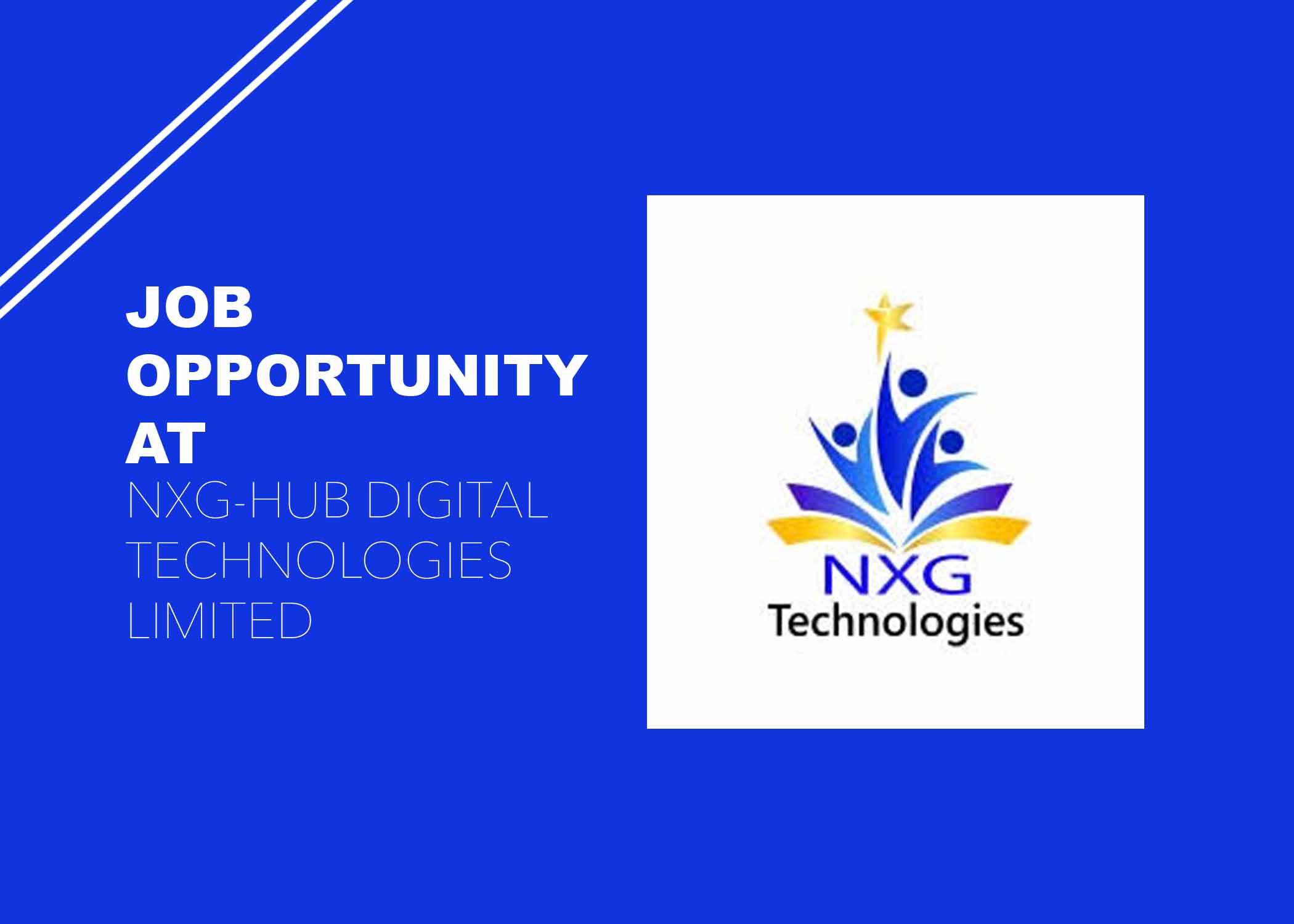 Job Opportunity at NXG-HUB Digital Technologies Limited