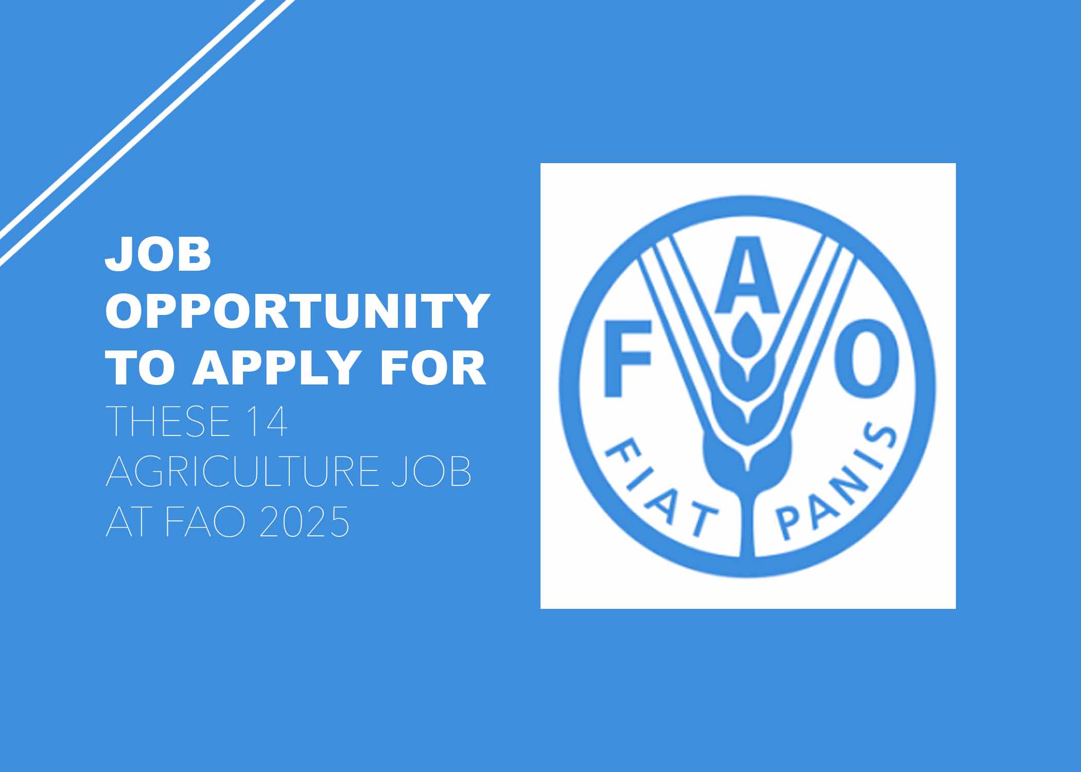 Job Opportunity to Apply For These 14 Agriculture Jobs At FAO 2025